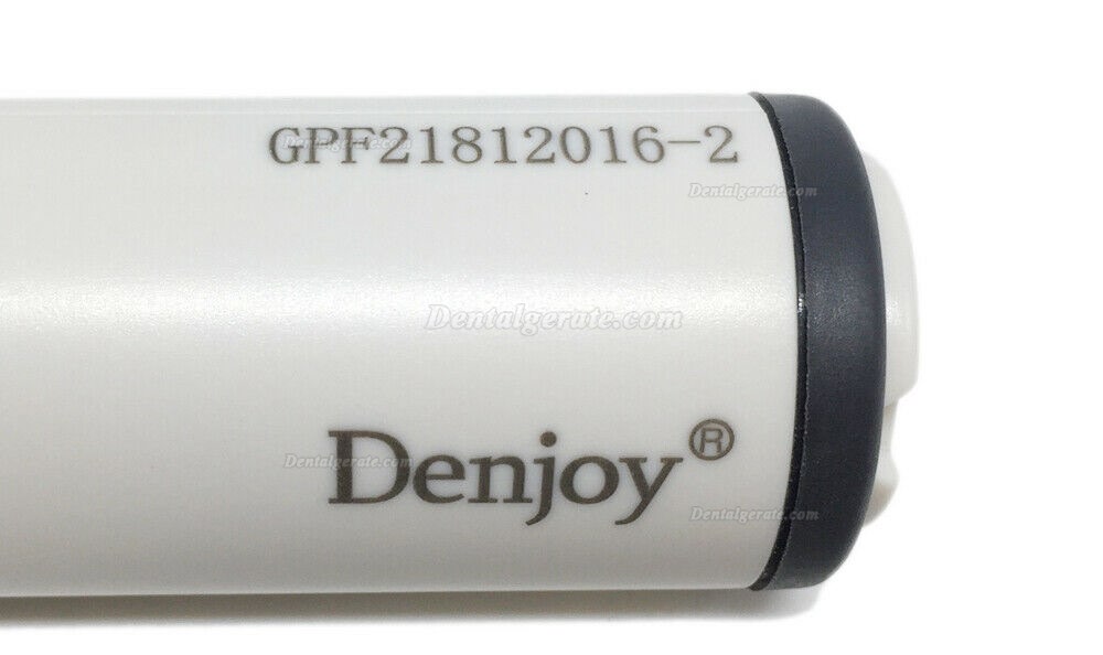 Denjoy&reg; Endo 3-dimensionale Obturation System Gutta Pen & Gun